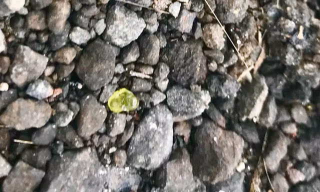 Mưa đá quý tại Hawaii