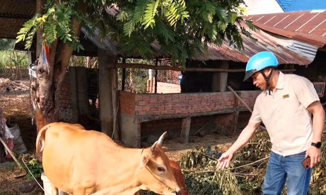 ‘Chìa khoá’ giúp bà con dân tộc thiểu số phát triển kinh tế
