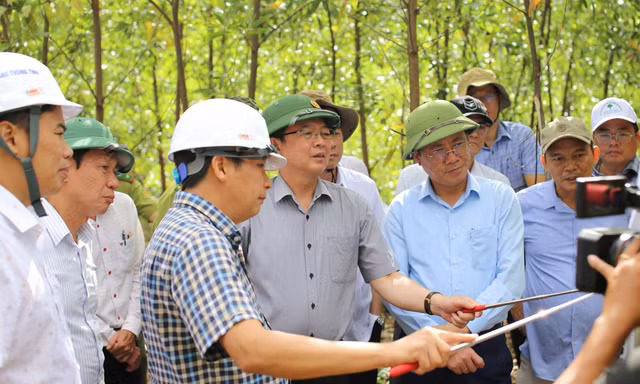 Bí thư, Chủ tịch tỉnh Bình Định khảo sát tiềm năng núi Vũng Chua