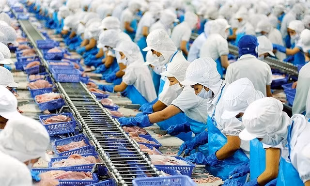 Doanh nghiệp nông sản đồng loạt kiến nghị về thuế giá trị gia tăng