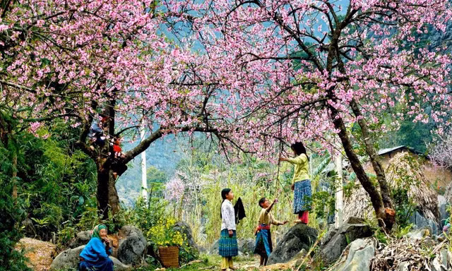 Hút khách quanh năm, nghỉ dưỡng Sapa: Tiềm năng còn bỏ ngỏ