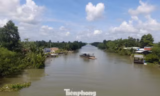 Thống nhất chủ trương đầu tư dự án đưa nước sông Hậu về bán đảo Cà Mau