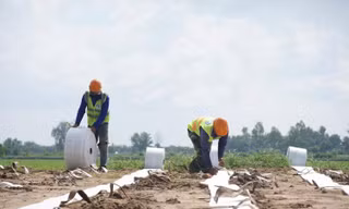 Xuyên lễ bám công trường dự án cao tốc miền Tây
