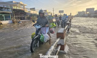 Vĩnh Long đối mặt với mực nước cao do triều cường, chính quyền khuyến cáo người dân chủ động phòng tránh ngập lụt, sạt lở...