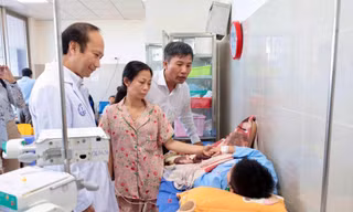 Vụ hàng trăm người nghi ngộ độc bánh mì tại Đồng Tháp: 25 mẫu dương tính vi khuẩn Salmonella
