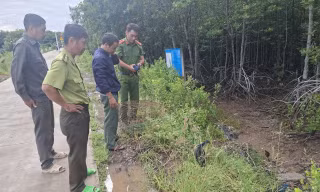 Lực lượng chức năng Vĩnh Long xử lý vi phạm, thả 4 cá thể chim Trích cồ về môi trường tự nhiên, bảo vệ động vật hoang dã.