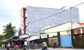 An Giang chính thức cấm nuôi chim yến trong khu dân cư