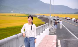 Tuyến đường hơn 4km giữa đồng lúa hút giới trẻ đến check-in