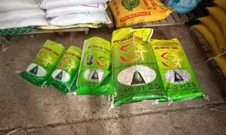 Khởi tố vụ bắt hơn 7 tấn gạo giả mạo nhãn hiệu ST25