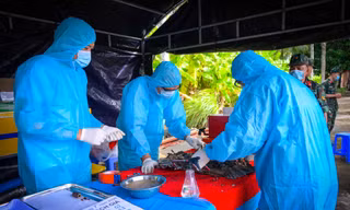An Giang tăng cường lực lượng, chạy đua lấy mẫu ADN hài cốt liệt sĩ trước mùa mưa