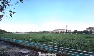 Chủ tịch phường chỉ đạo làm sạch hồ ô nhiễm ở Cần Thơ sau phản ánh của báo Tiền Phong