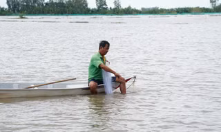 Người dân giăng lưới trên cánh đồng lũ tại Đồng Tháp.