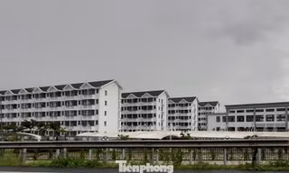 Cần Thơ mời gọi đầu tư 2 dự án nhà ở xã hội gần 1.400 căn hộ