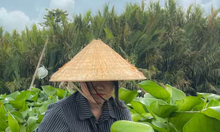 Giấc mơ xanh từ lục bình trôi dạt