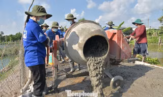 Bài 3: Những 'bóng hồng' bám cối trộn