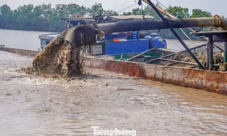 Chậm khai thác cát cho cao tốc, Chủ tịch Cần Thơ chỉ đạo 'nóng'