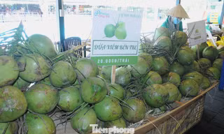 Hậu sáp nhập 3 tỉnh, doanh thu dừa tươi dồn về 1 mối lớn nhất nước