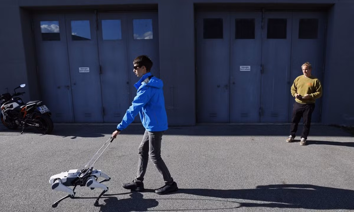 20261028511.jpg