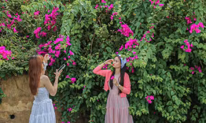 Bán đảo Sơn Trà - địa điểm 'chữa lành' cực hot với giới trẻ