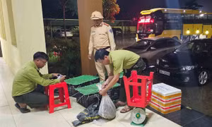 Xe khách vận chuyển động vật hoang dã trái phép