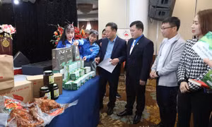 Những dự án khởi nghiệp của thanh niên Lạng Sơn. 