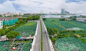 Cải tạo hồ cạnh hồ Tây nhằm ‘rửa sạch’ sông Tô Lịch