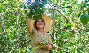 'Chìa khoá' giúp người dân xã miền núi thoát nghèo