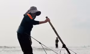 'Lộc biển' dạt trắng bờ biển, ngư dân cào ốc ngày kiếm tiền triệu