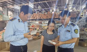 Hà Nội: Hội đồng nhân dân thành phố chất vấn về an toàn thực phẩm