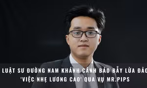 Hơn 1.000 sinh viên dính líu vụ Mr. Pips: Luật sư cảnh báo bẫy lừa đảo 'việc nhẹ lương cao'