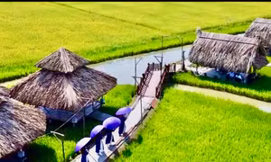 Tháo dỡ khu sinh thái 'Không Thời Gian' xây dựng trái phép trên đất lúa