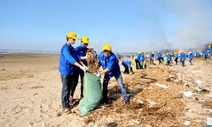Tìm kiếm những giải pháp và ý tưởng đột phá bảo vệ môi trường