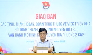 Tăng lực lượng tình nguyện hướng dẫn, hỗ trợ dịch vụ công trực tuyến tại nhà cho người dân