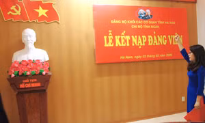 Nhiều đoàn viên ưu tú được kết nạp Đảng trong ngày kỷ niệm thành lập Đảng
