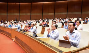 Chính phủ thống nhất chỉ đạo lực lượng Việt Nam tham gia gìn giữ hòa bình Liên Hợp Quốc