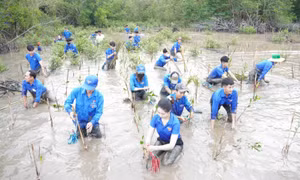 Tháng Thanh niên năm 2025: Thanh xuân sôi nổi nơi đất cực Nam 