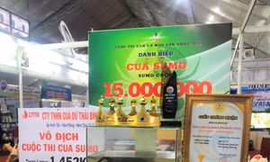 Lưu giữ tiêu bản cua lớn nhất Cà Mau