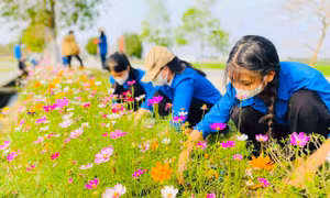 Tuổi trẻ Nghệ An với những phần việc ý nghĩa trị giá hàng tỉ đồng