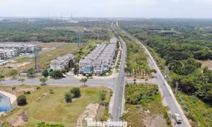 Phân bổ 128 nhà đất cho dự án đường sắt Bến Thành - Cần Giờ và Vành đai 4
