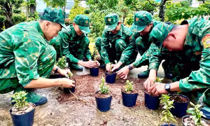 Chủ nhật xanh của người trẻ quân hàm xanh