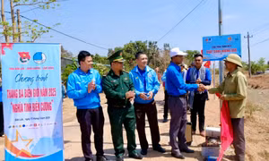 Đội hình 'Bình dân học vụ số' ở Lâm Đồng giúp 9.700 người dân tiếp cận kỹ năng số