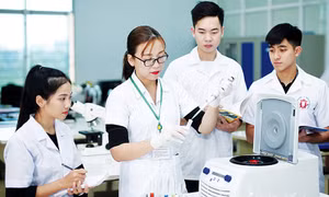Chấp nhận 'độ trễ' để tạo động lực cho nghiên cứu bền vững
