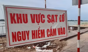 Không thể mãi 'chạy theo' sạt lở ở Đồng bằng sông Cửu Long