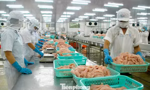 Doanh nghiệp nêu loạt kiến nghị quan trọng trước áp lực thuế Mỹ 