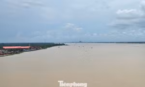Xâm nhập mặn đe dọa ĐBSCL ra sao?
