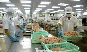 Phát lộ điểm nghẽn cản trở doanh nghiệp tư nhân