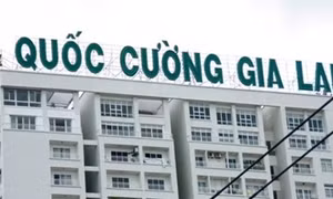 Chứng khoán ngừng rơi, cổ phiếu 'đại gia phố núi' ngược dòng