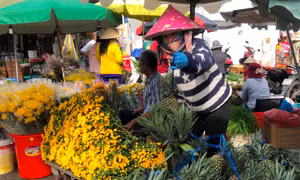 Hoa trái ngập chợ, tiểu thương ngóng khách ngày cuối năm