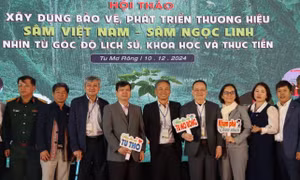 Hội thảo mong muốn nâng cao giá trị sâm Ngọc Linh, giúp người dân, doanh nghiệp, người tiêu dùng hiểu rõ hơn về quốc bảo Việt Nam