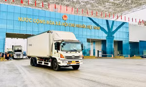 Việt Nam - Trung Quốc thông quan hơn 750 tấn hàng qua cửa khẩu Móng Cái 